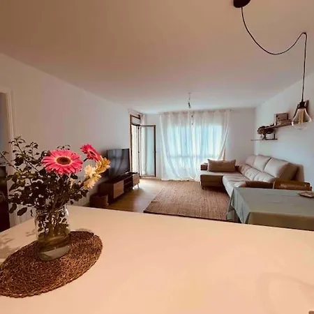 公寓 Apartamento De Lujo En 阿罗萨新镇